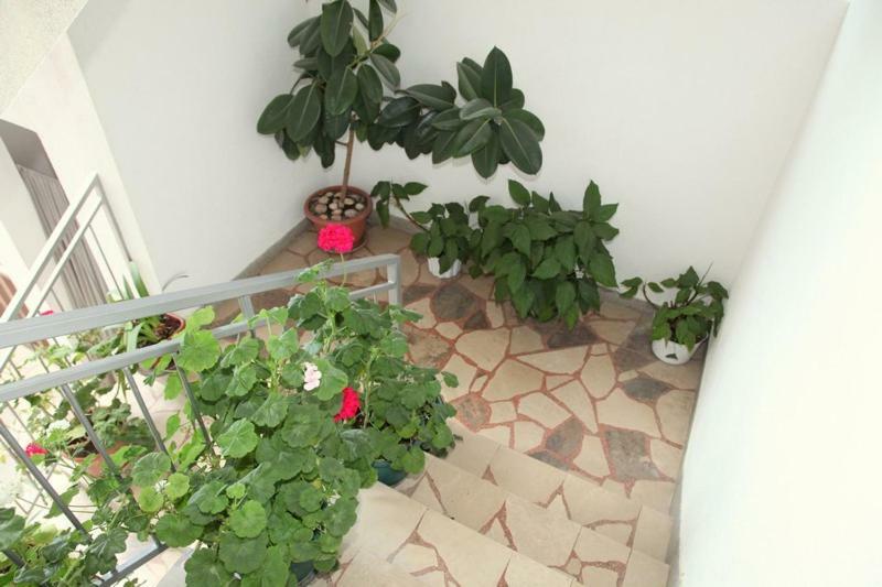 Apartments Villa Ravlic Makarska Exterior foto